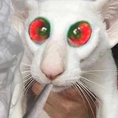 Zadira Zadirka